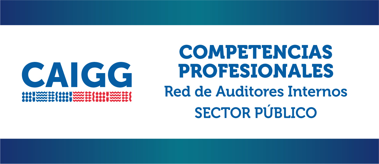 Competencias Profesionales