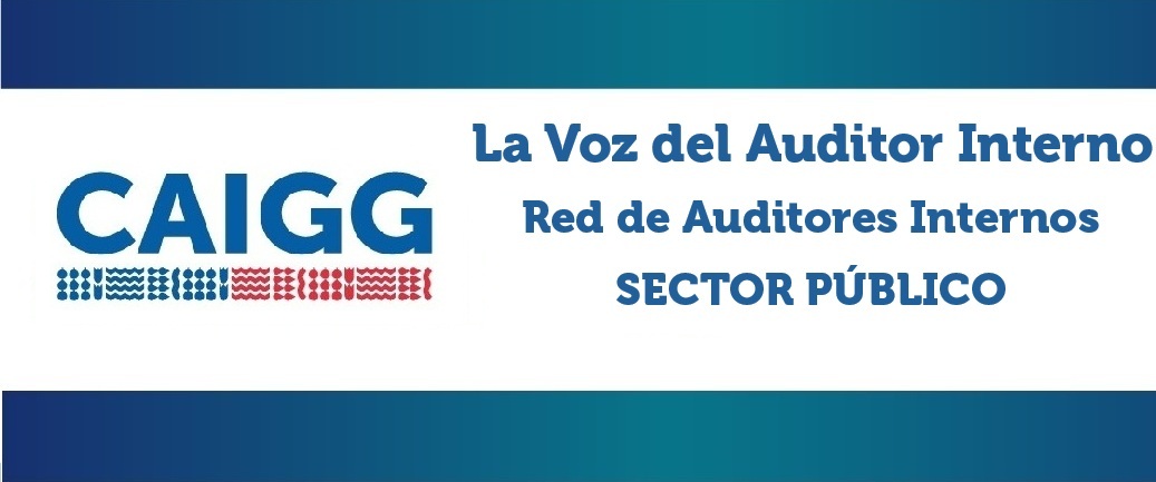 La voz del auditor