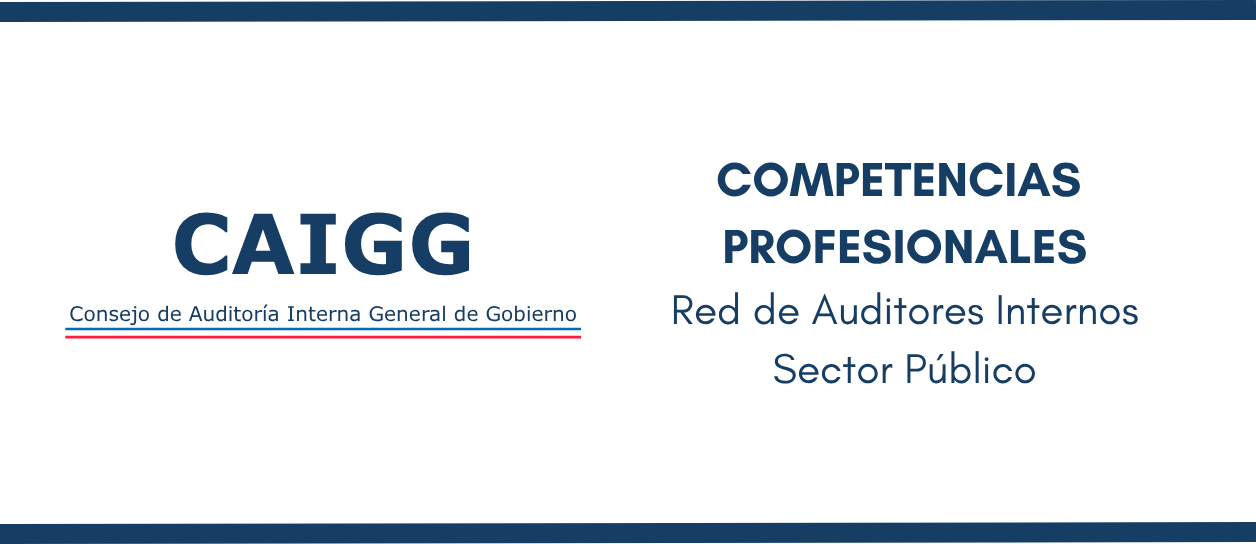 Competencias Profesionales