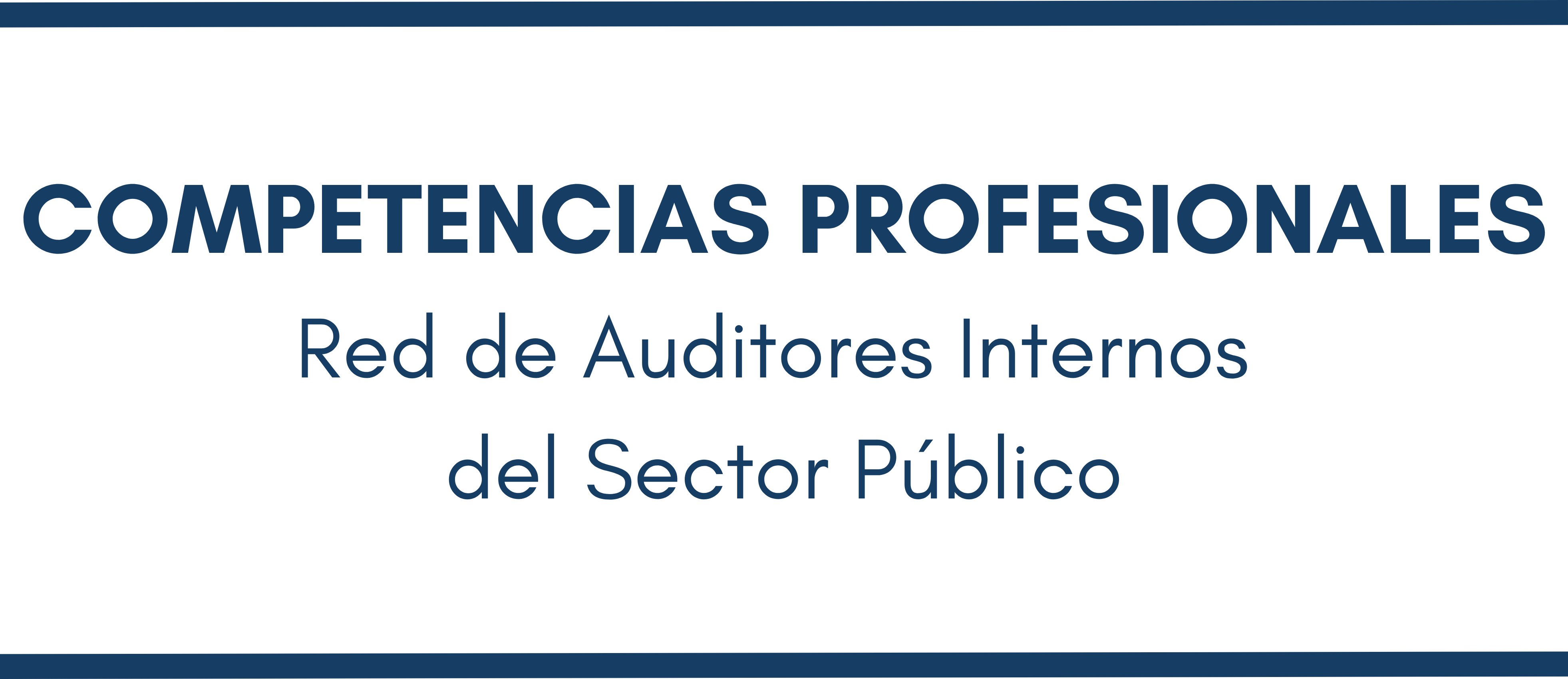 Competencias Profesionales