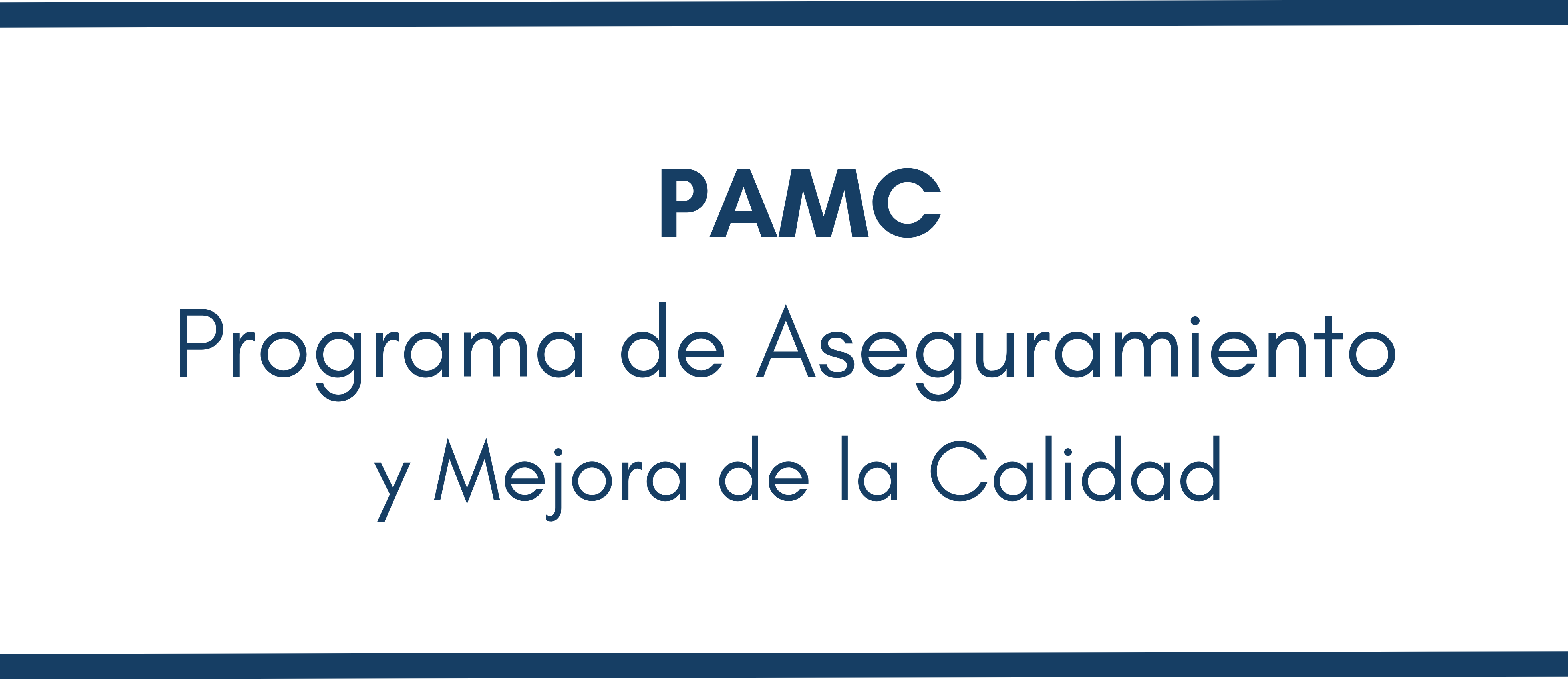 CALIDAD AUDITORÍA INTERNA